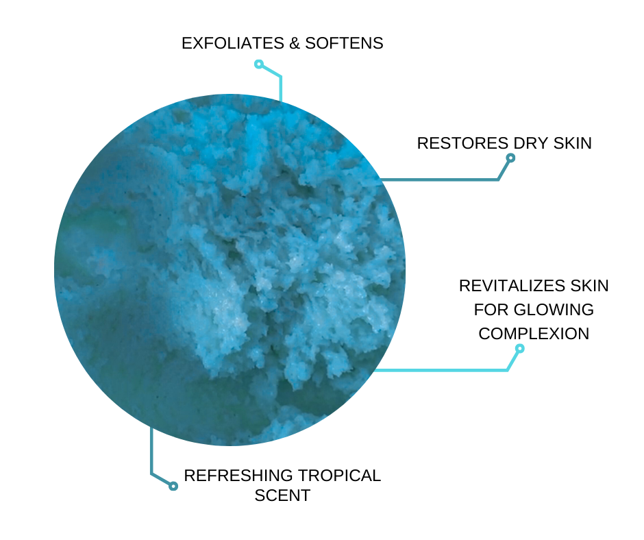 Blueberry Lemon Moisturizing Body Scrub